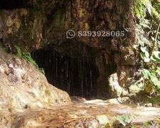 Vashistha Cave Rishikesh