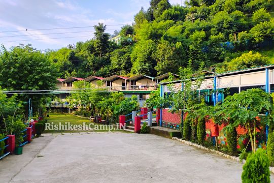 Mountain View Camps & Cottages