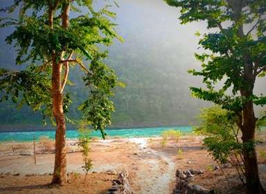 Holi with Ganga Riverside Camping
