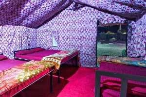 Product Swiss Camps in Rishikesh