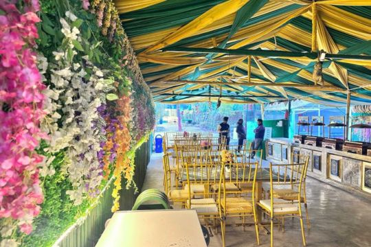 Budget Camp in Rishikesh