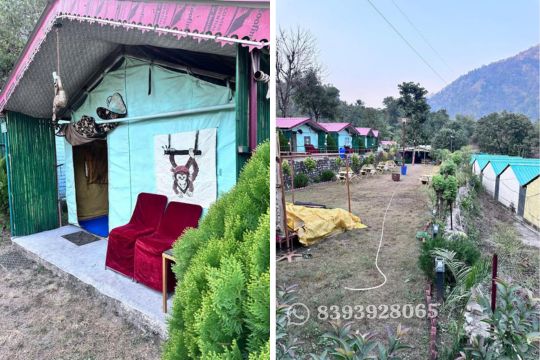 Budget Camp in Rishikesh