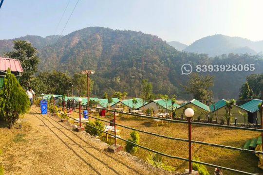 Budget Camp in Rishikesh