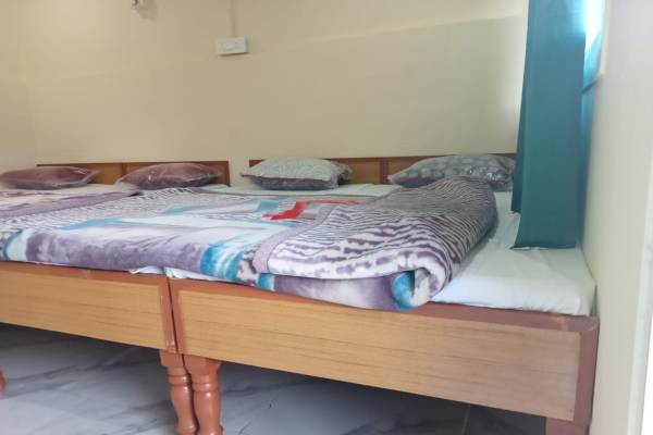 Budget Camp in Rishikesh