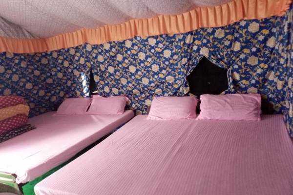 Budget Camp in Rishikesh