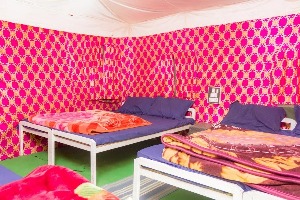 Product Jungle Camping Rishikesh